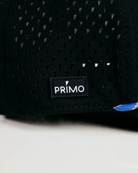 Cougar 6 Panel Hat